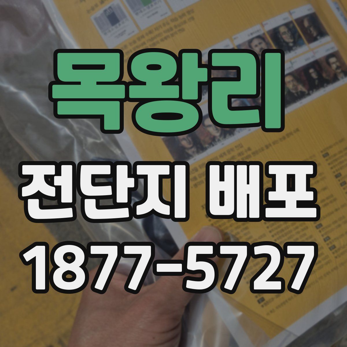 목왕리 전단지 배포