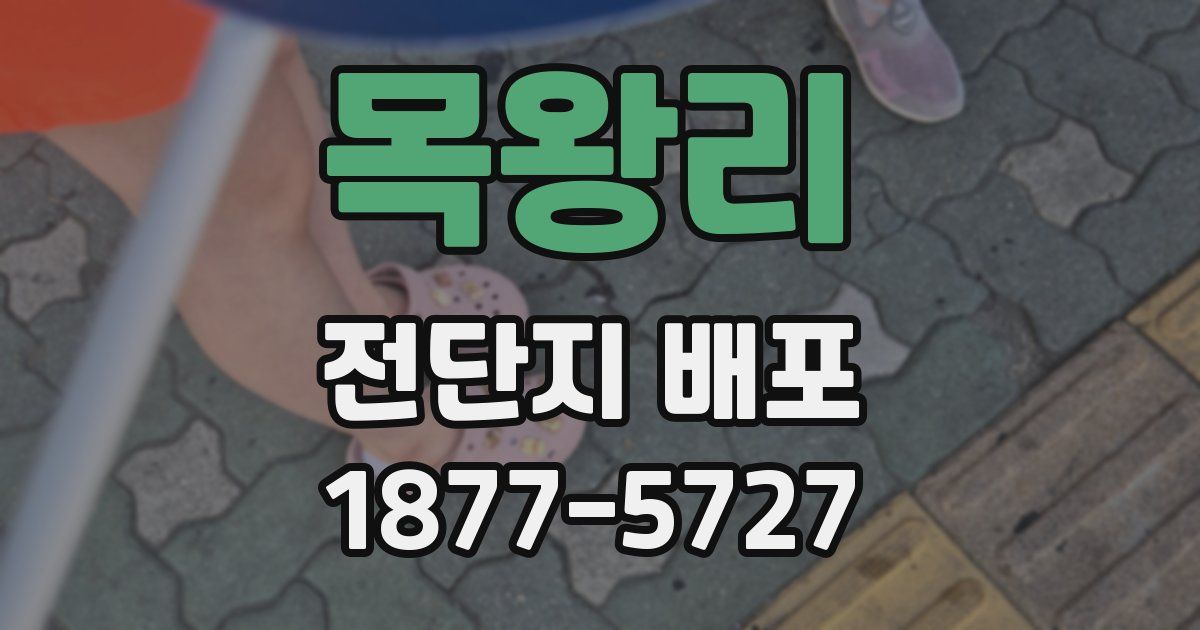 목왕리 전단지 배포