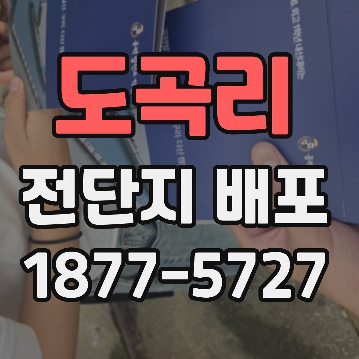 도곡리 전단지 배포