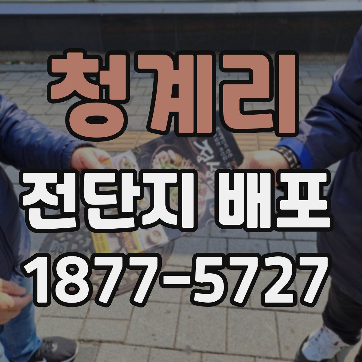 청계리 전단지 배포