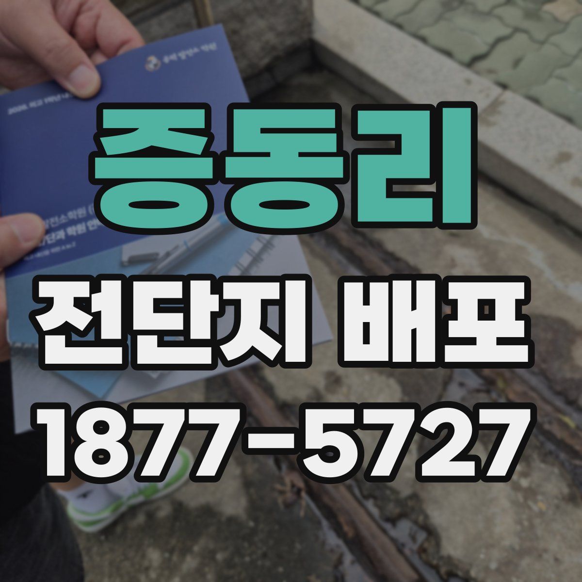증동리 전단지 배포