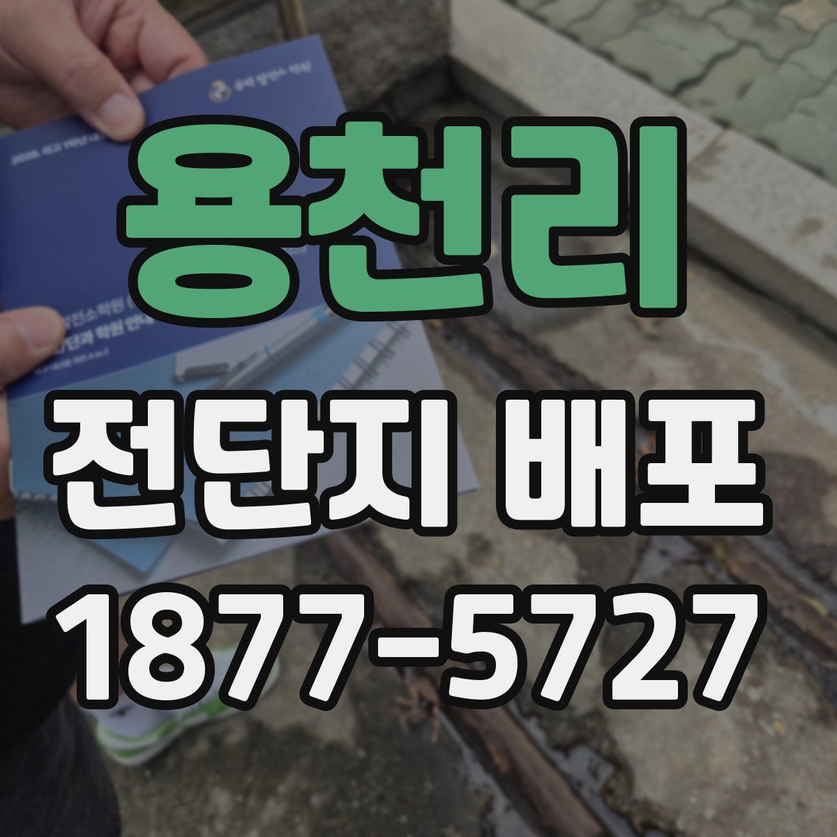 용천리 전단지 배포