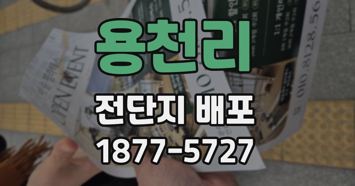 용천리 전단지 배포