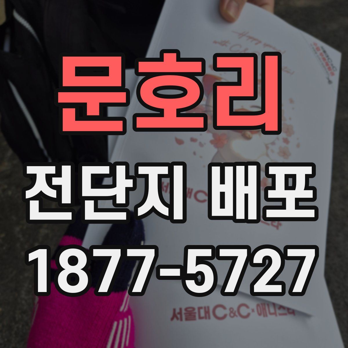 문호리 전단지 배포