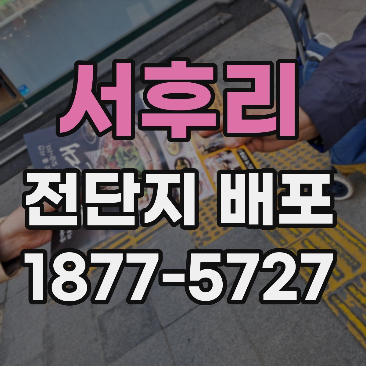 서후리 전단지 배포