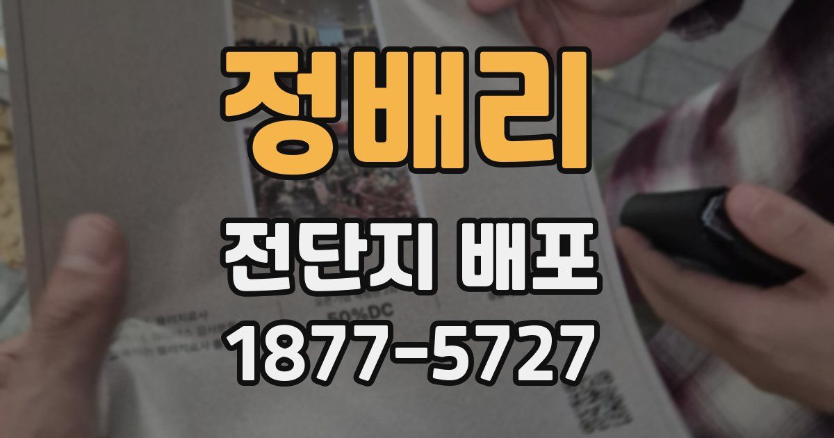 정배리 전단지 배포