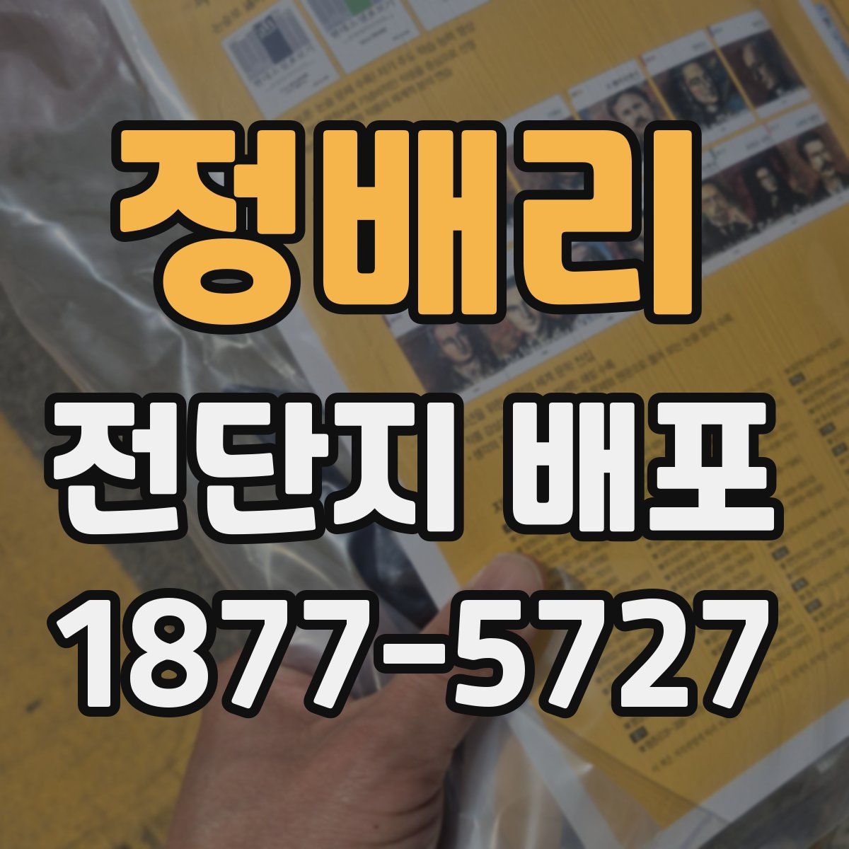 정배리 전단지 배포