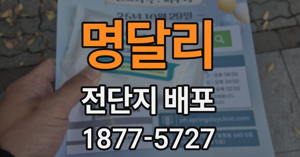 명달리 전단지 배포