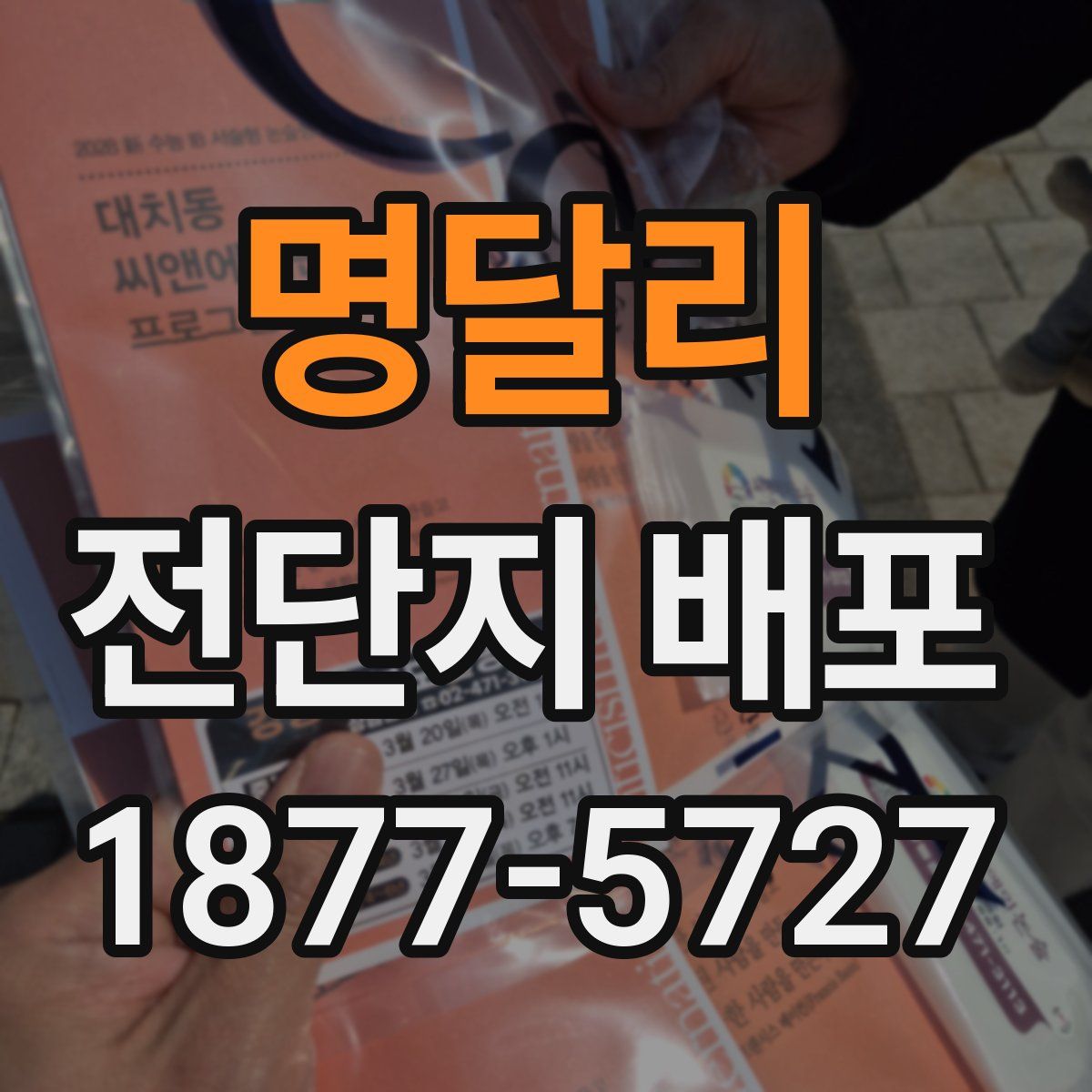 명달리 전단지 배포