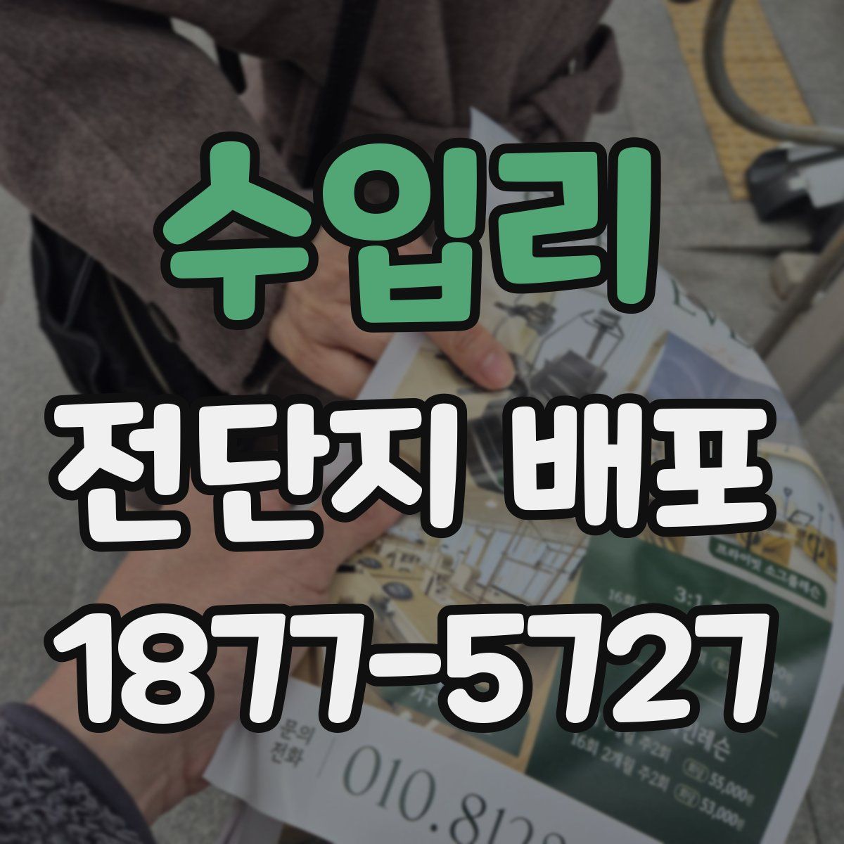 수입리 전단지 배포