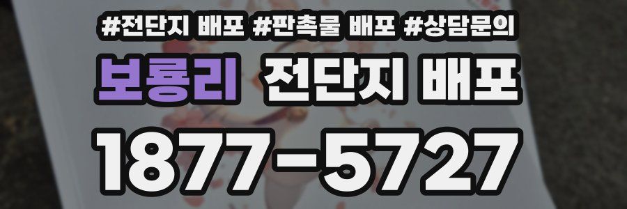 보룡리 전단지 배포