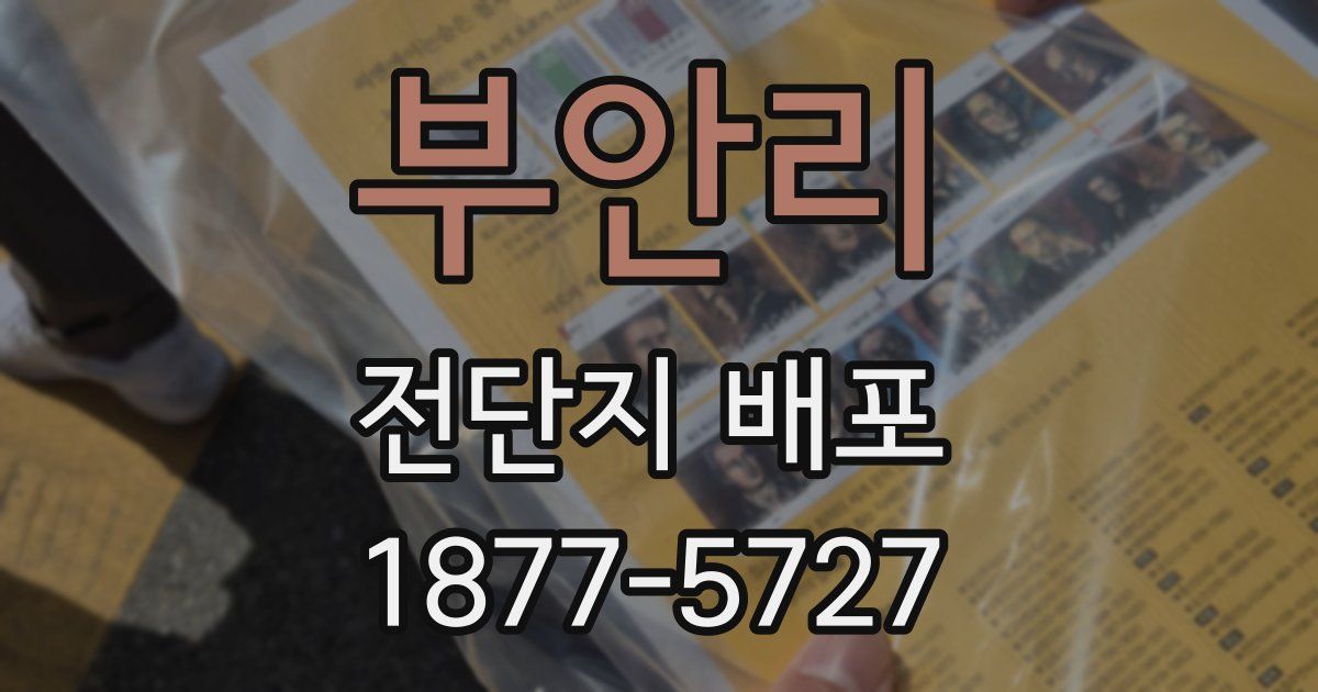 부안리 전단지 배포