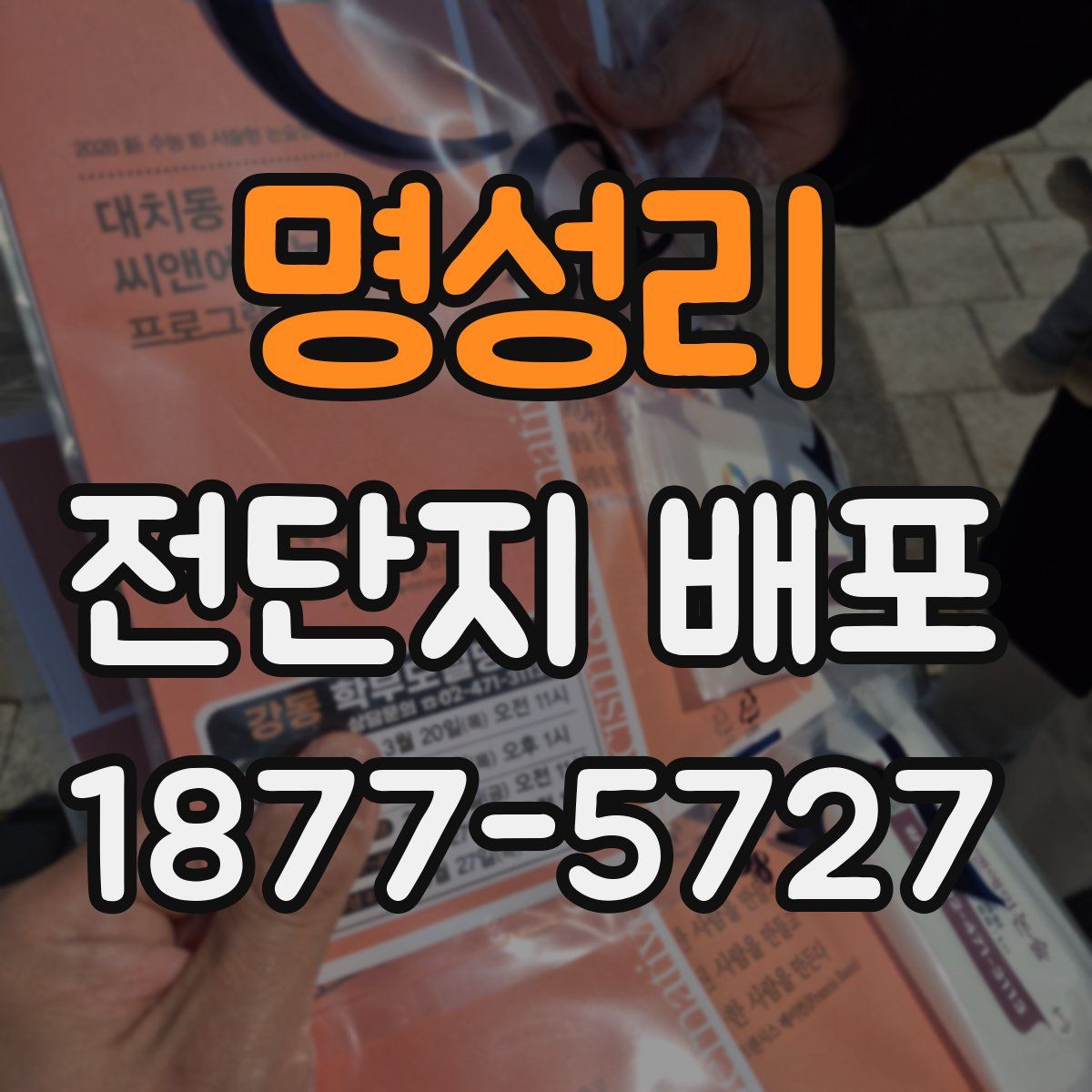 명성리 전단지 배포