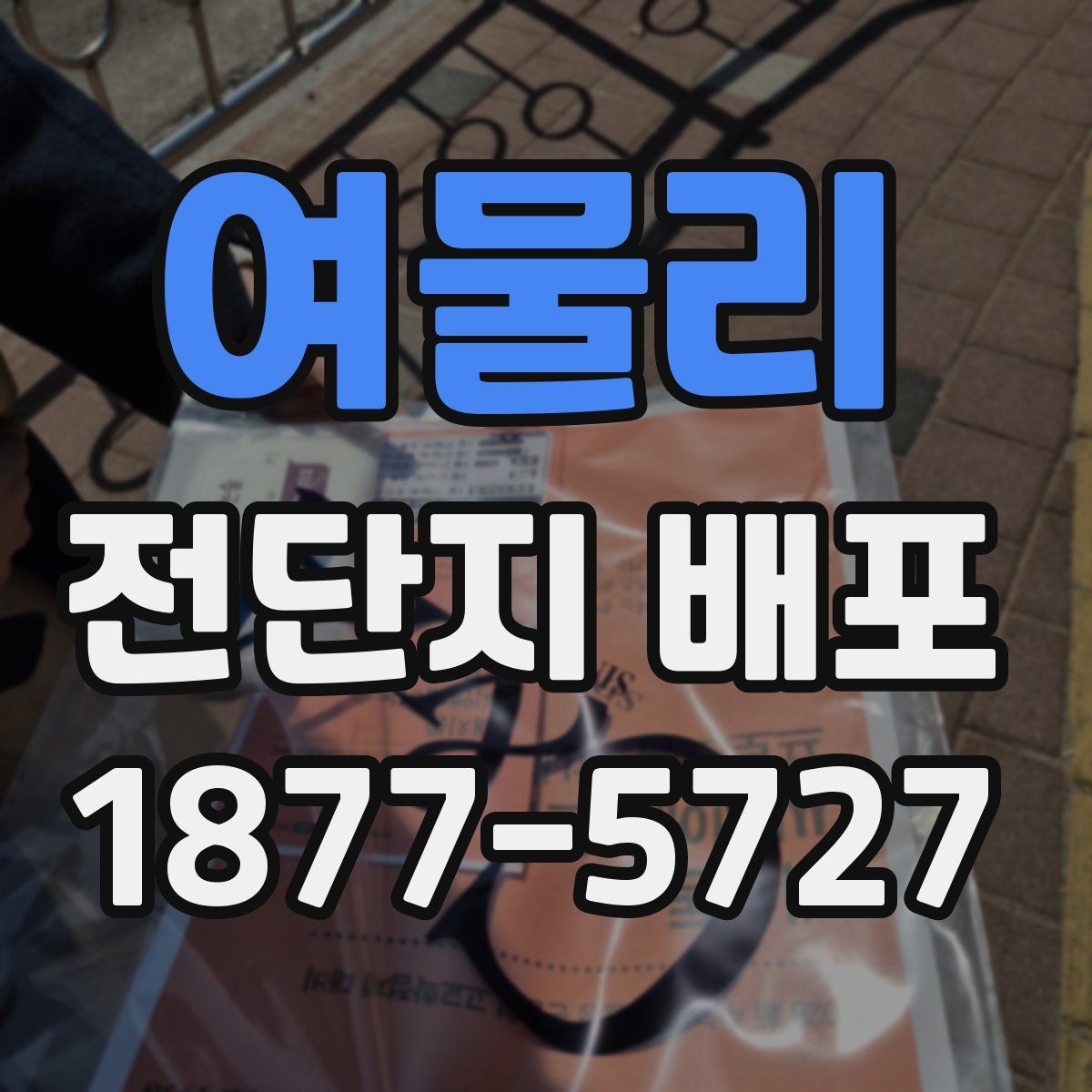 여물리 전단지 배포
