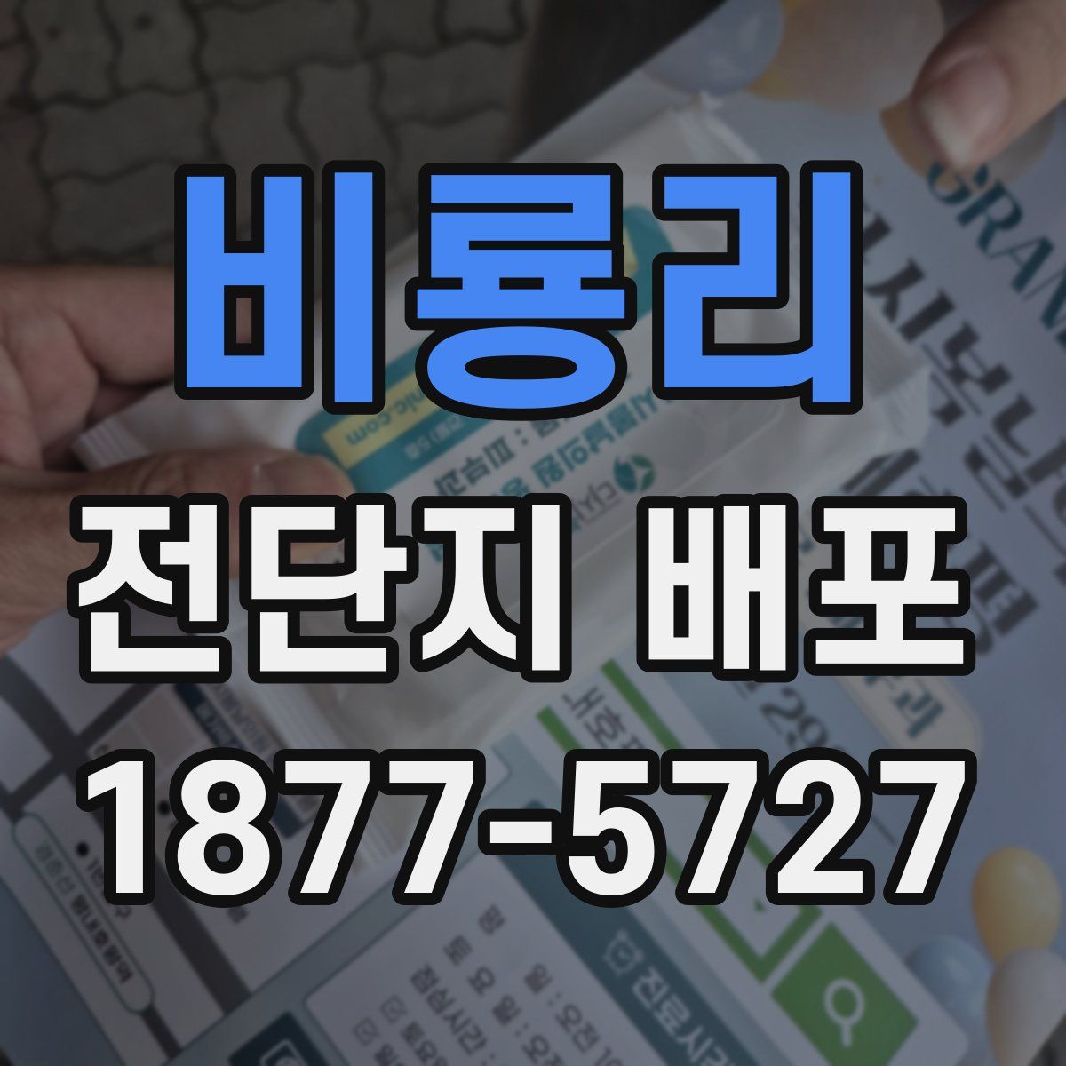 비룡리 전단지 배포