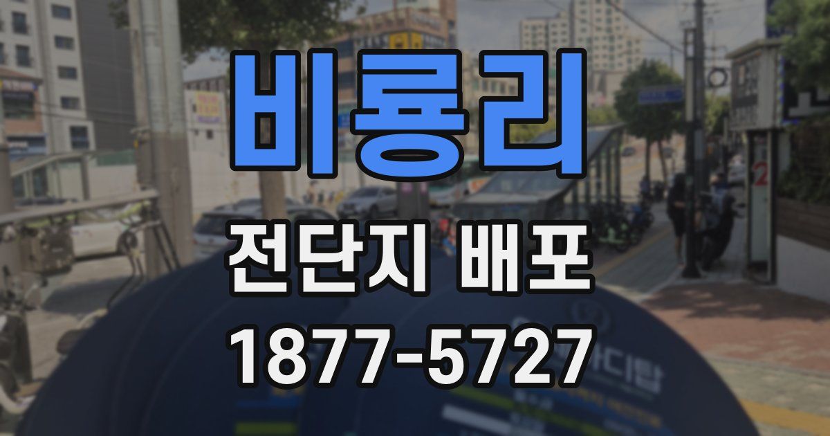 비룡리 전단지 배포