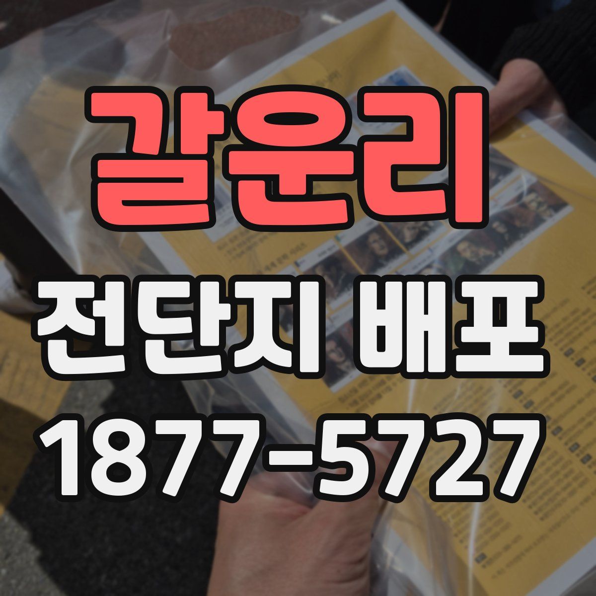 갈운리 전단지 배포