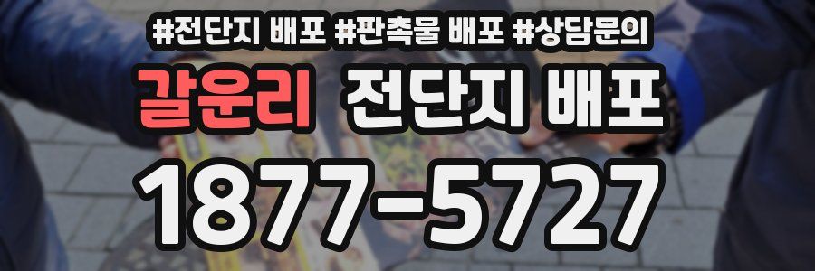 갈운리 전단지 배포