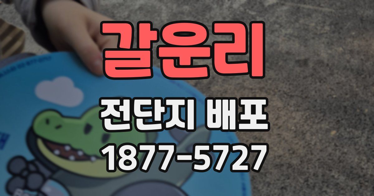 갈운리 전단지 배포