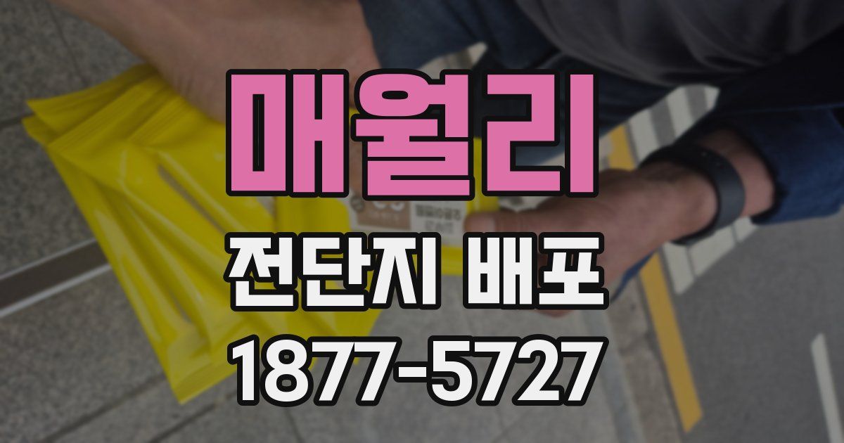 매월리 전단지 배포