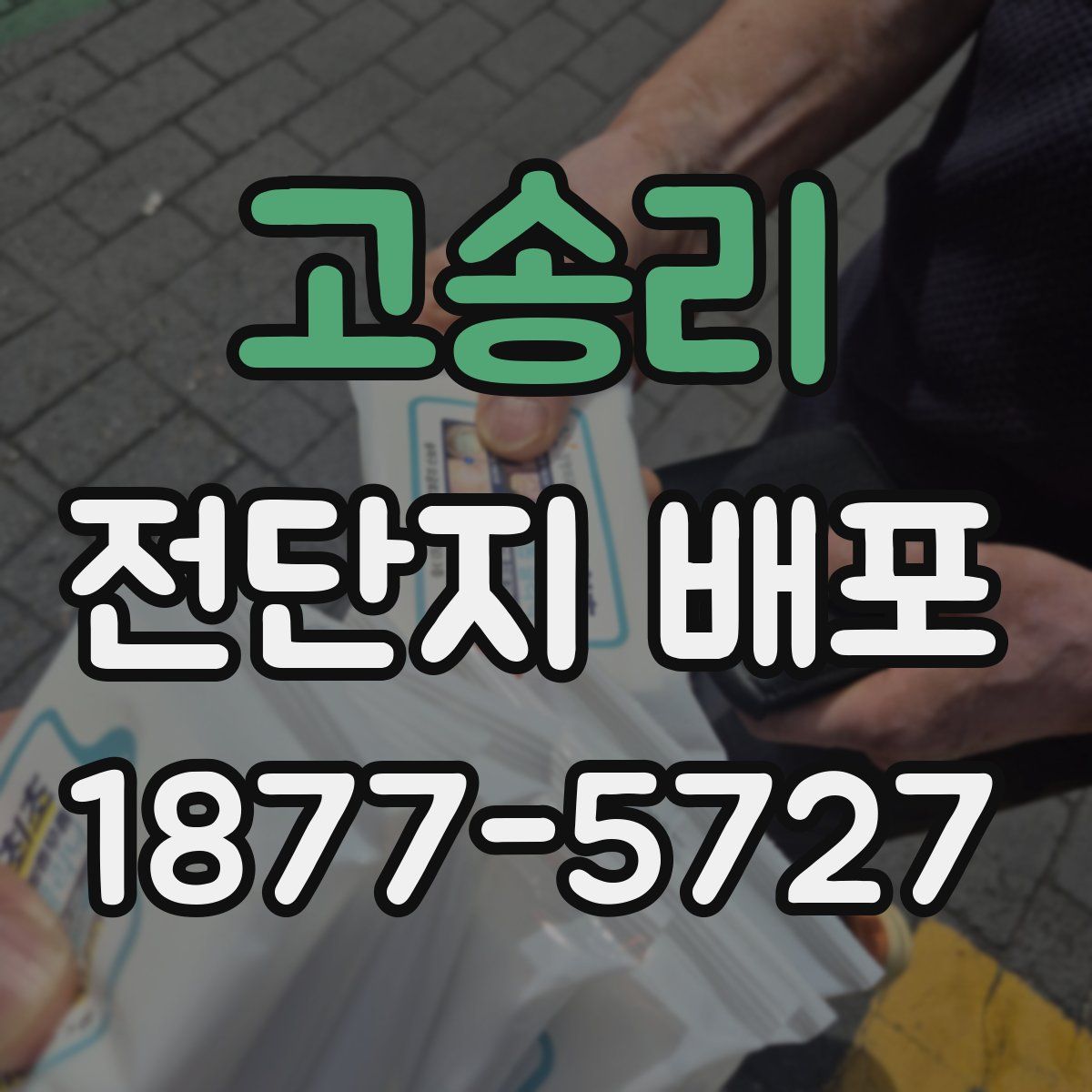 고송리 전단지 배포