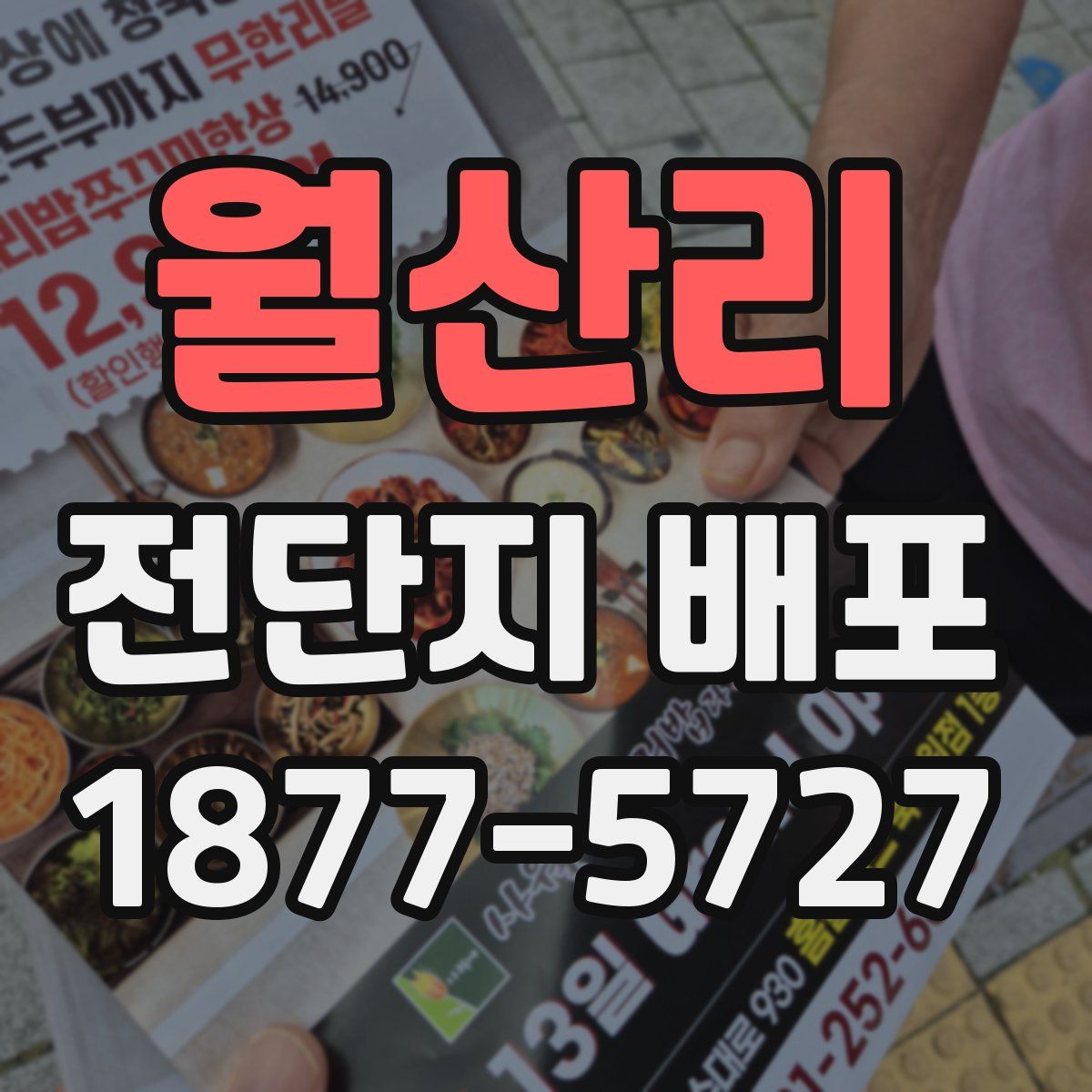 월산리 전단지 배포