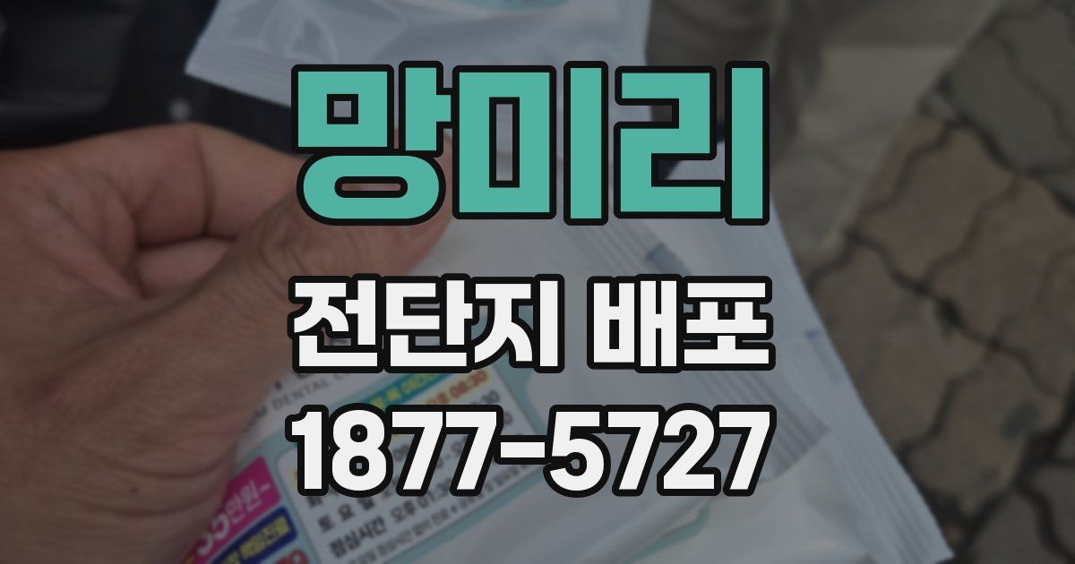 망미리 전단지 배포