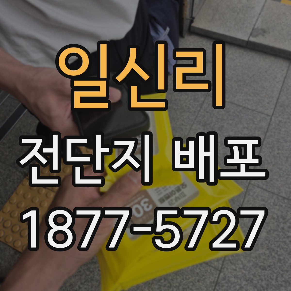 일신리 전단지 배포