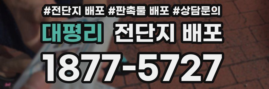 대평리 전단지 배포
