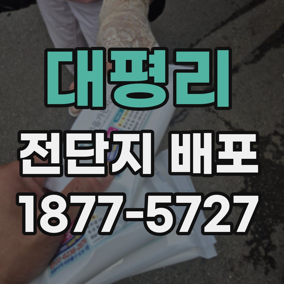 대평리 전단지 배포