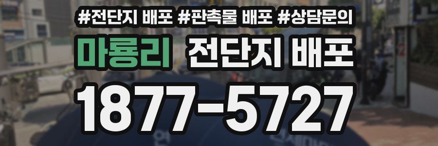 마룡리 전단지 배포