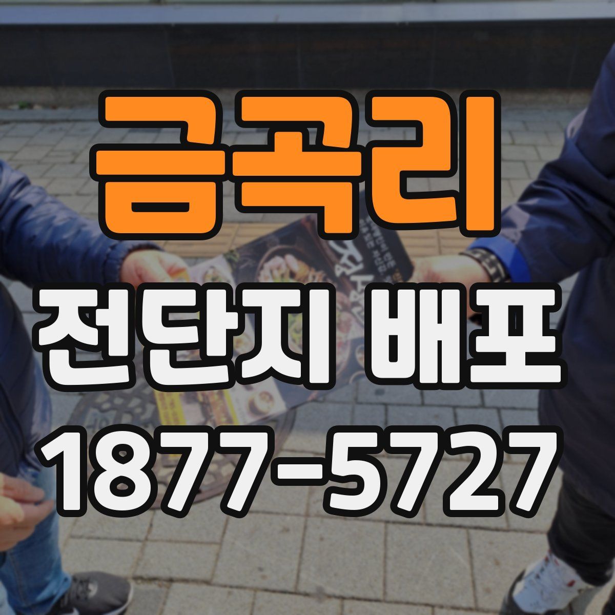 금곡리 전단지 배포