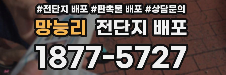 망능리 전단지 배포