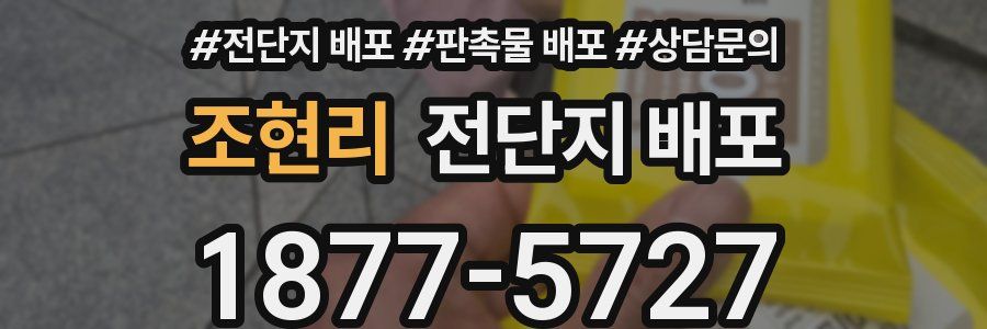조현리 전단지 배포