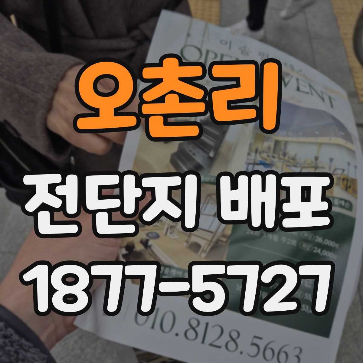 오촌리 전단지 배포