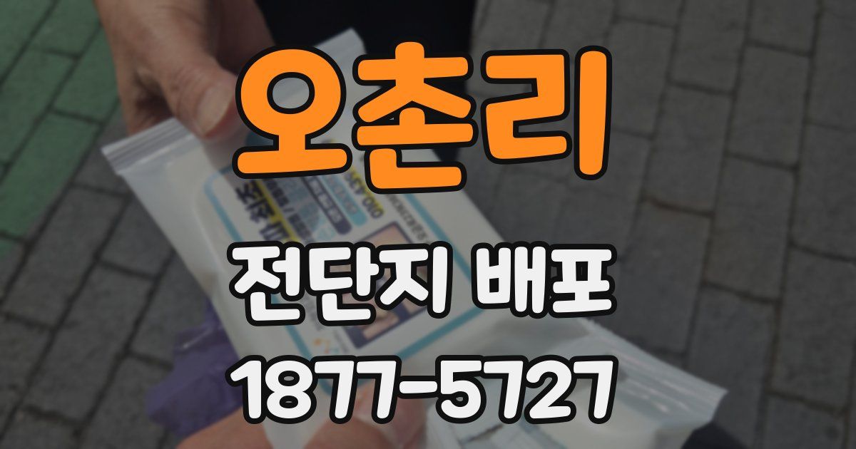 오촌리 전단지 배포