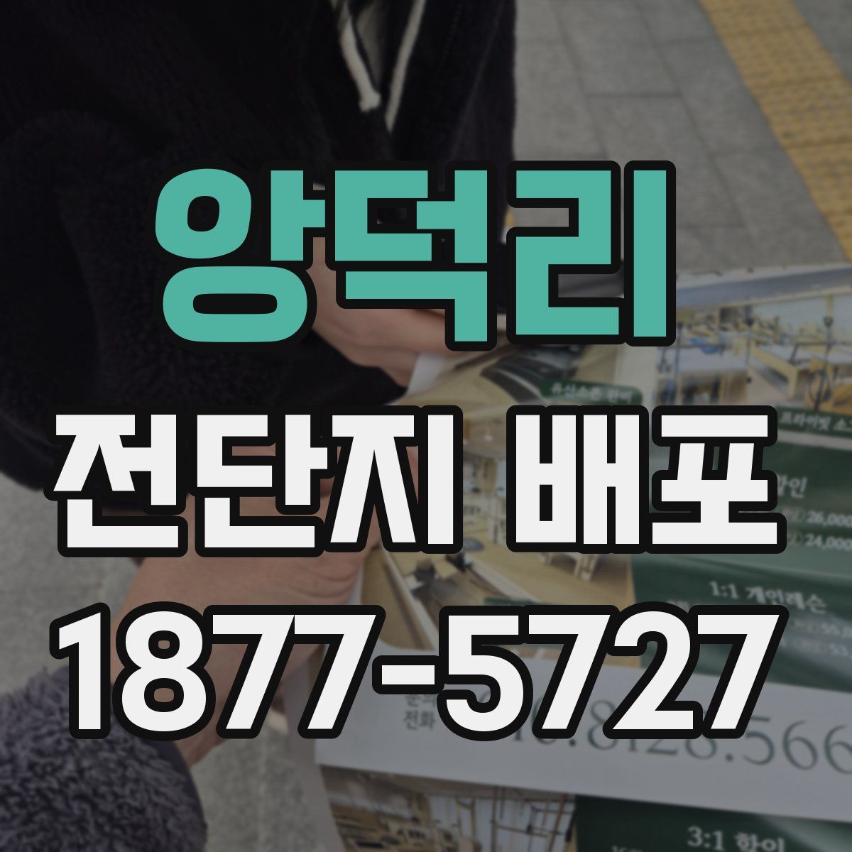 앙덕리 전단지 배포