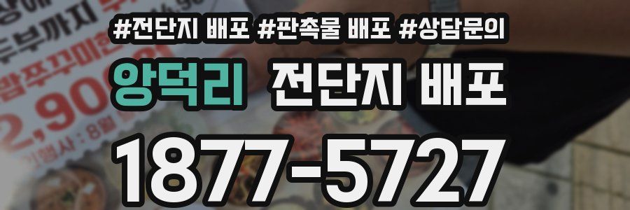 앙덕리 전단지 배포