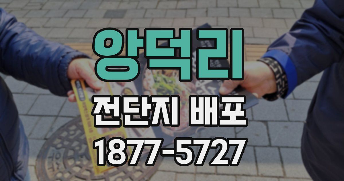 앙덕리 전단지 배포