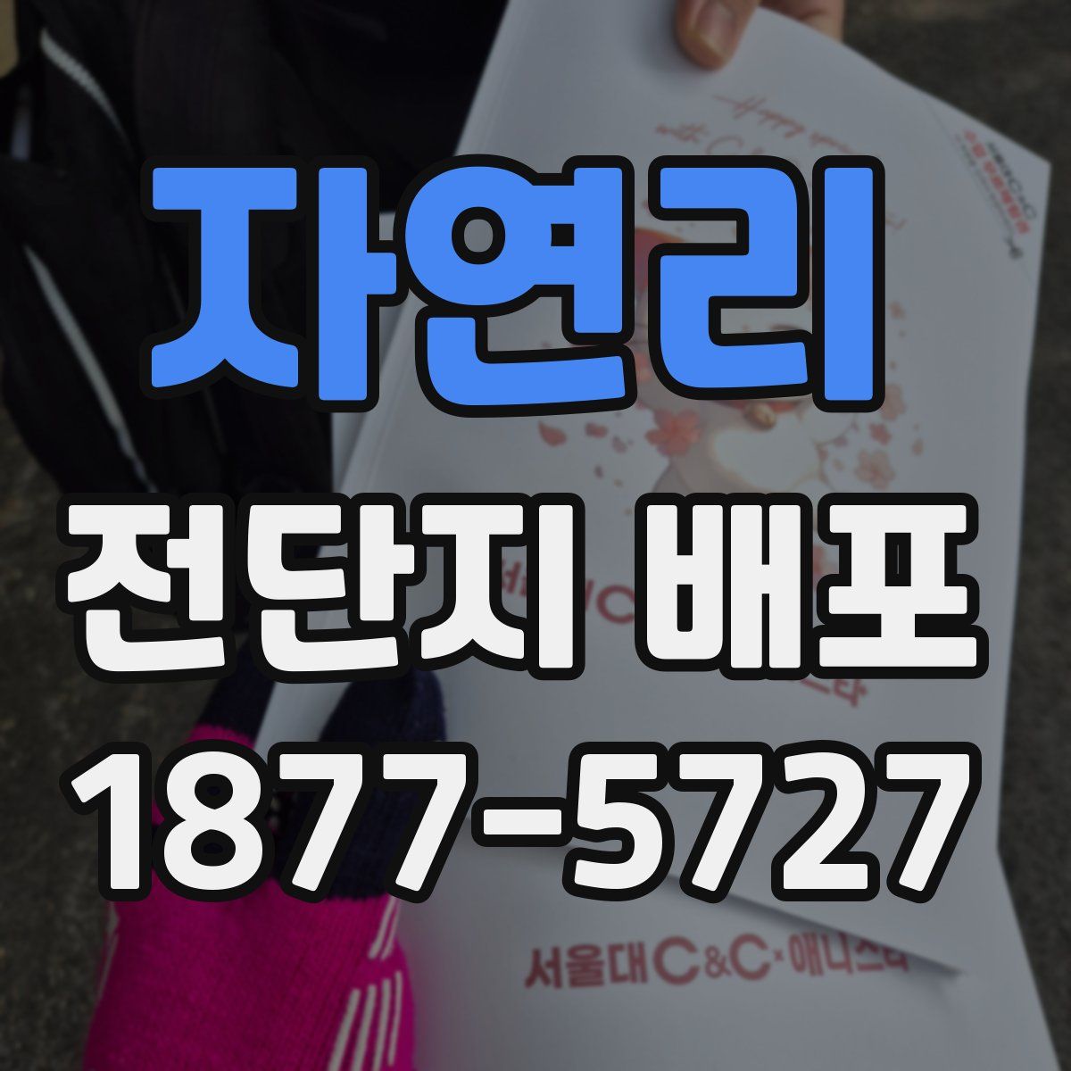 자연리 전단지 배포