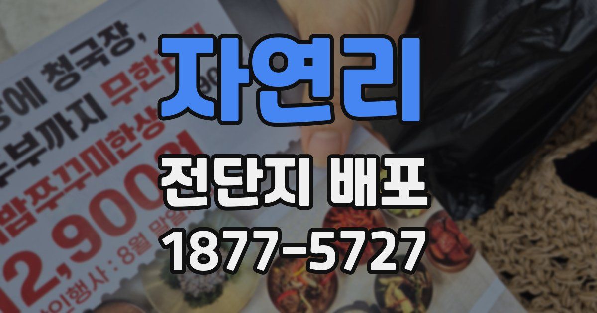 자연리 전단지 배포