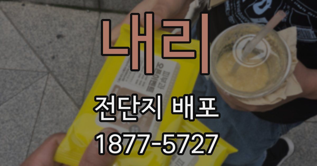 내리 전단지 배포