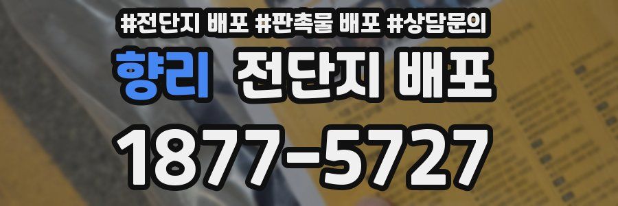 향리 전단지 배포