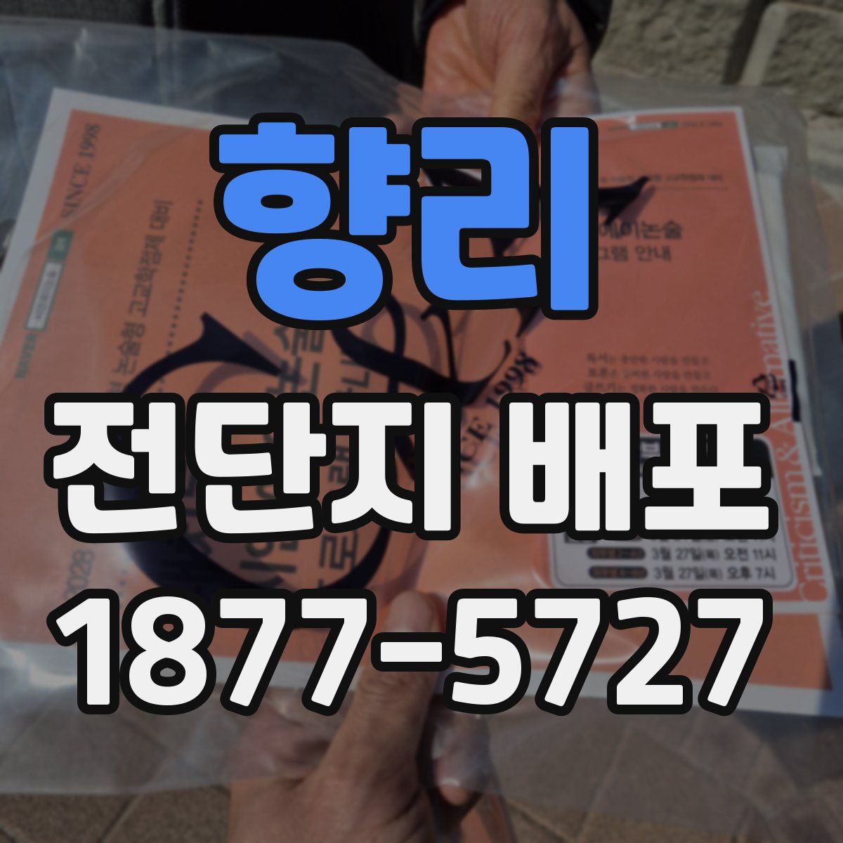 향리 전단지 배포