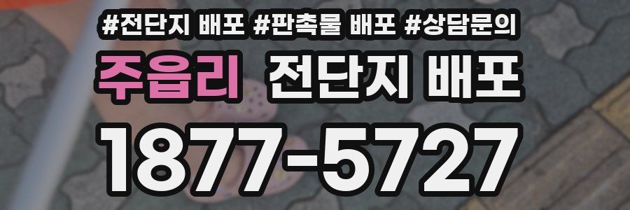 주읍리 전단지 배포