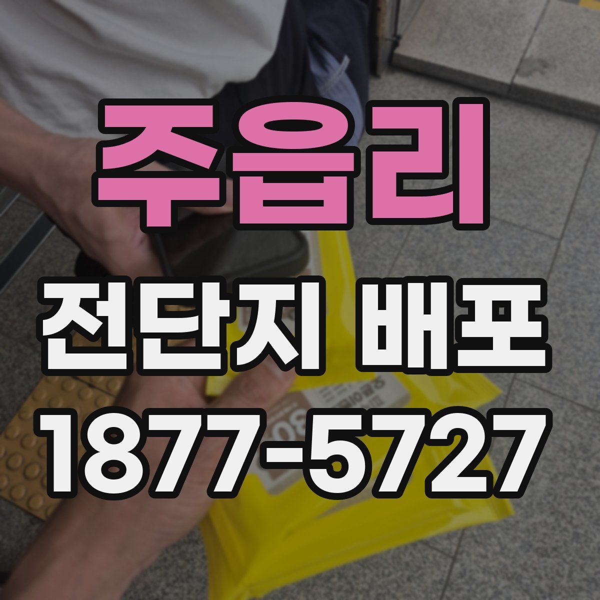 주읍리 전단지 배포