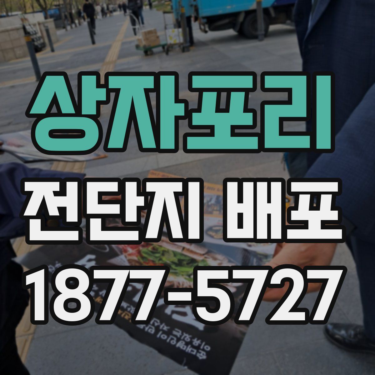 상자포리 전단지 배포