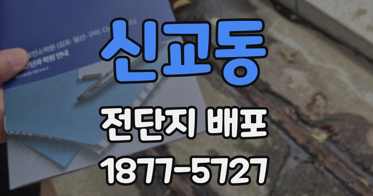 신교동 전단지 배포