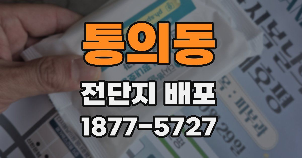 통의동 전단지 배포