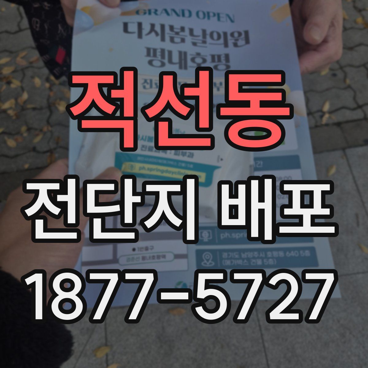 적선동 전단지 배포